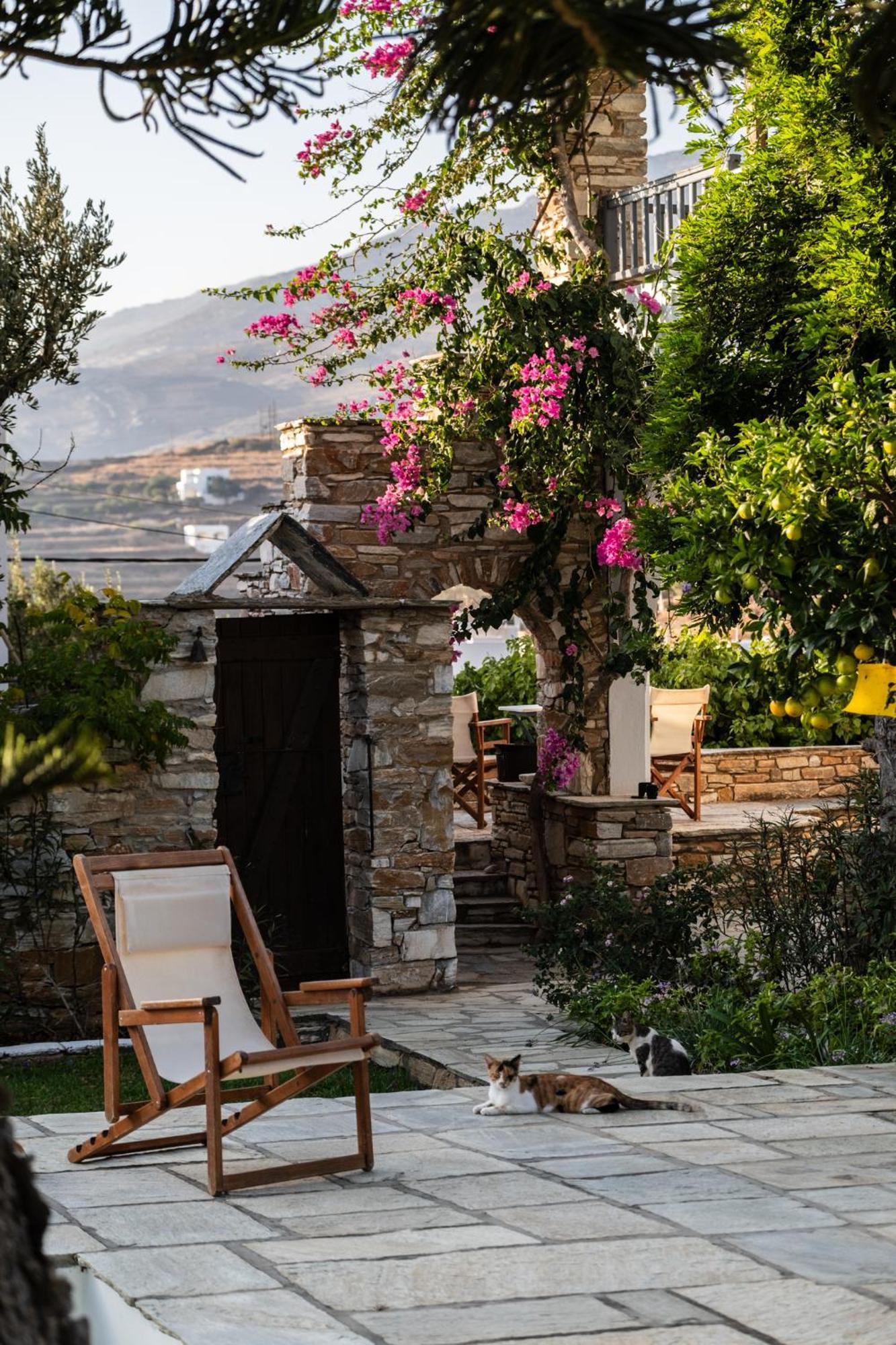 Romano Garden House - Land Tales Agios Romanos المظهر الخارجي الصورة