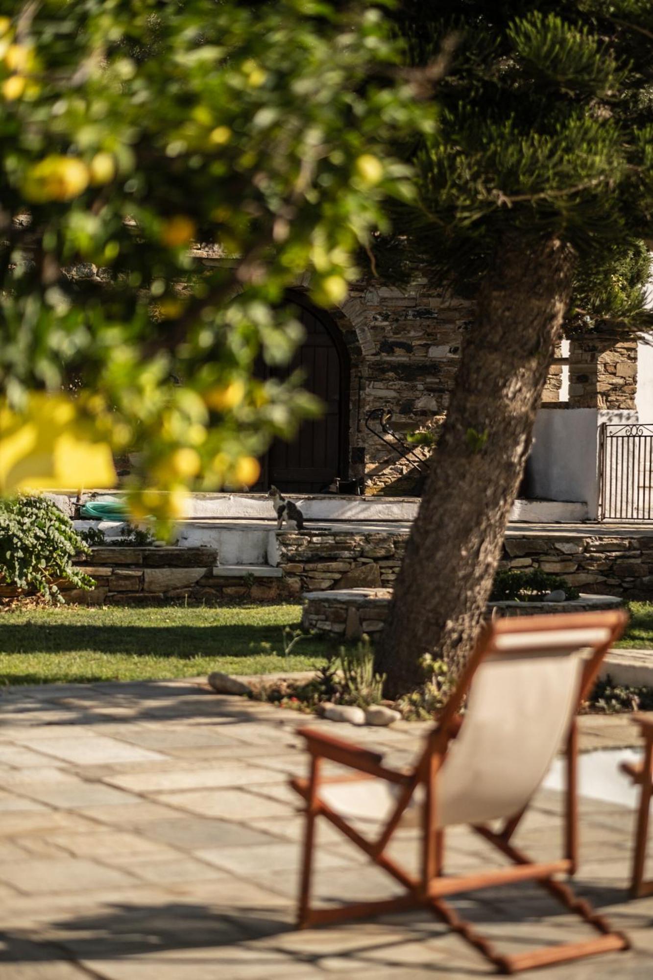 Romano Garden House - Land Tales Agios Romanos المظهر الخارجي الصورة