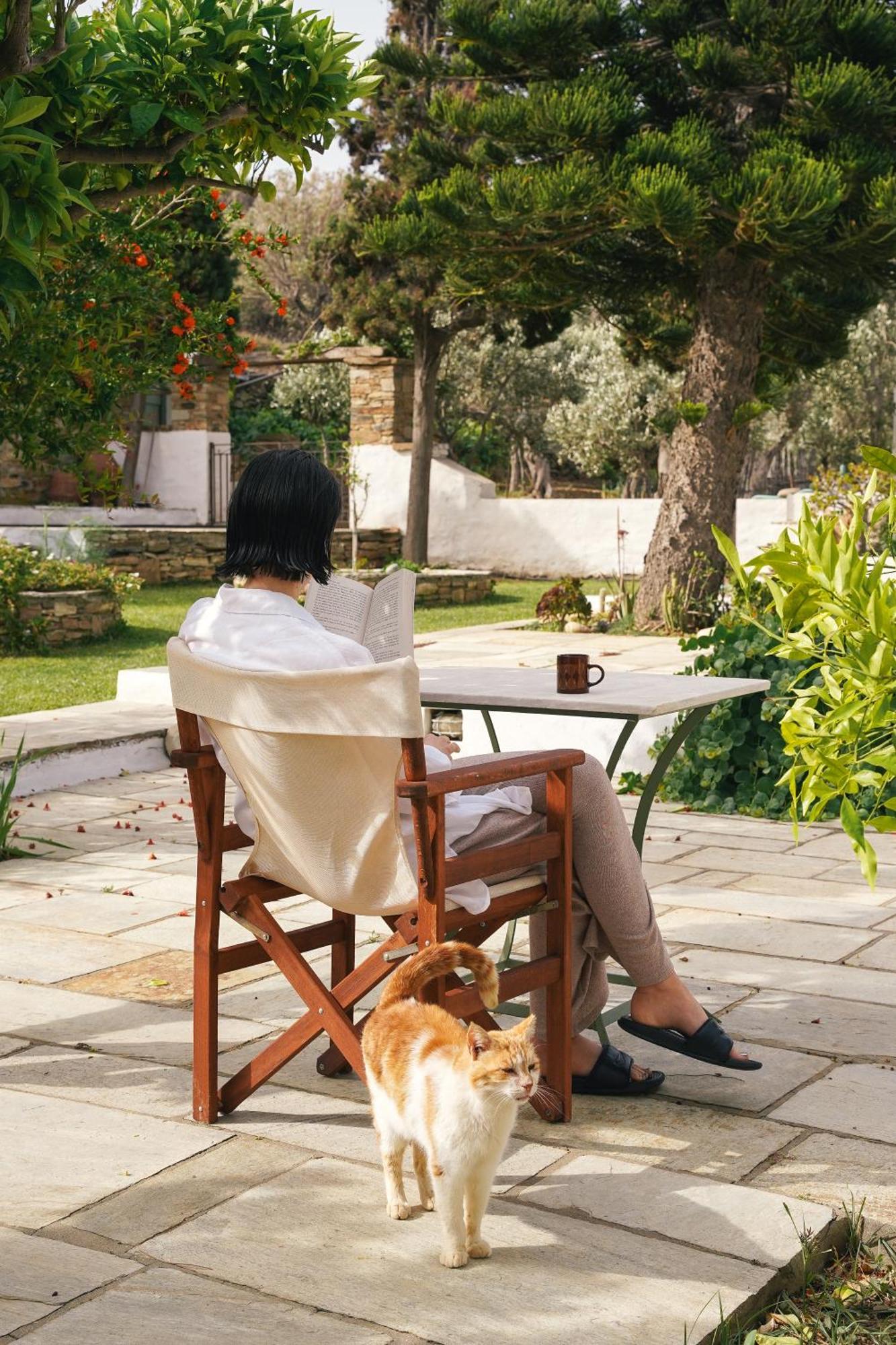 Romano Garden House - Land Tales Agios Romanos المظهر الخارجي الصورة